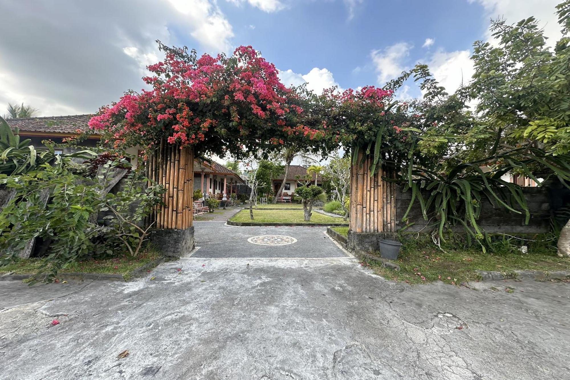 Arlina'S Hotel Kintamani エクステリア 写真